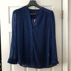 Banana Republic Blue Sheer Blouse